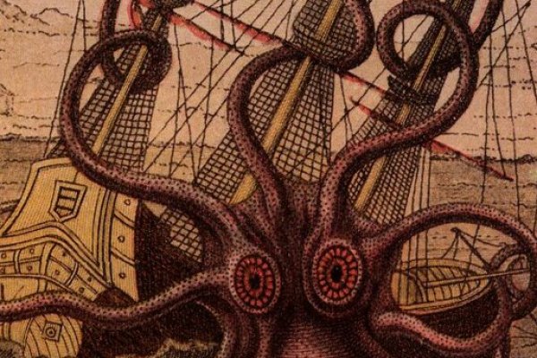 Kraken 14 at
